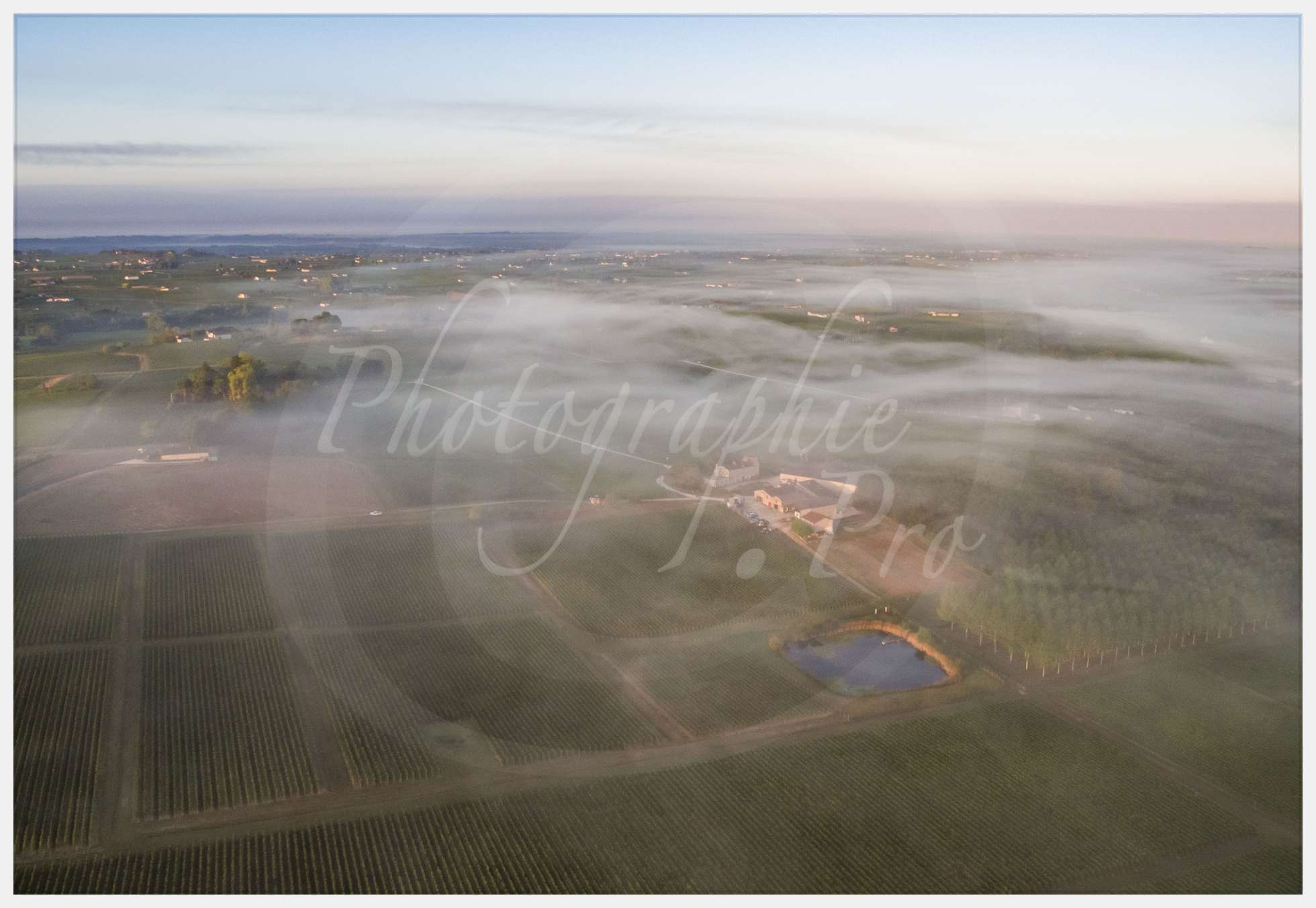 Livre Vendanges Corbin 2016 p04 c Photographie.Pro
