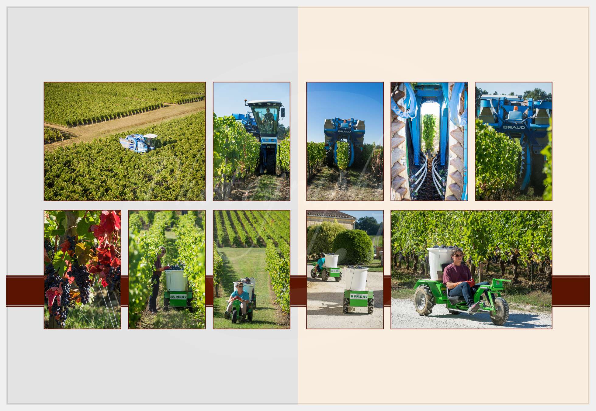 Albums photos Château Corbin Montagne Saint-Emillion